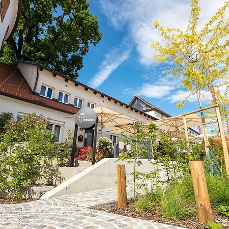 Fani&Rozi B&B Марибор Экстерьер фото